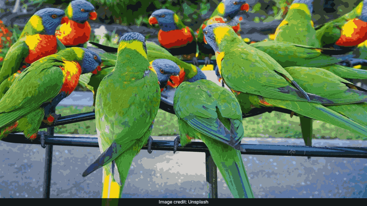 Parrot Fever: చిలుక జ్వ‌రం అంటే ఏమిటి..? ల‌క్షణాలివే