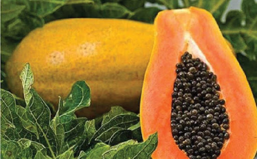 Papaya Seeds: బొప్పాయి గింజల వల్ల కలిగే అద్భుతమైన ప్రయోజనాలు ఇవే?