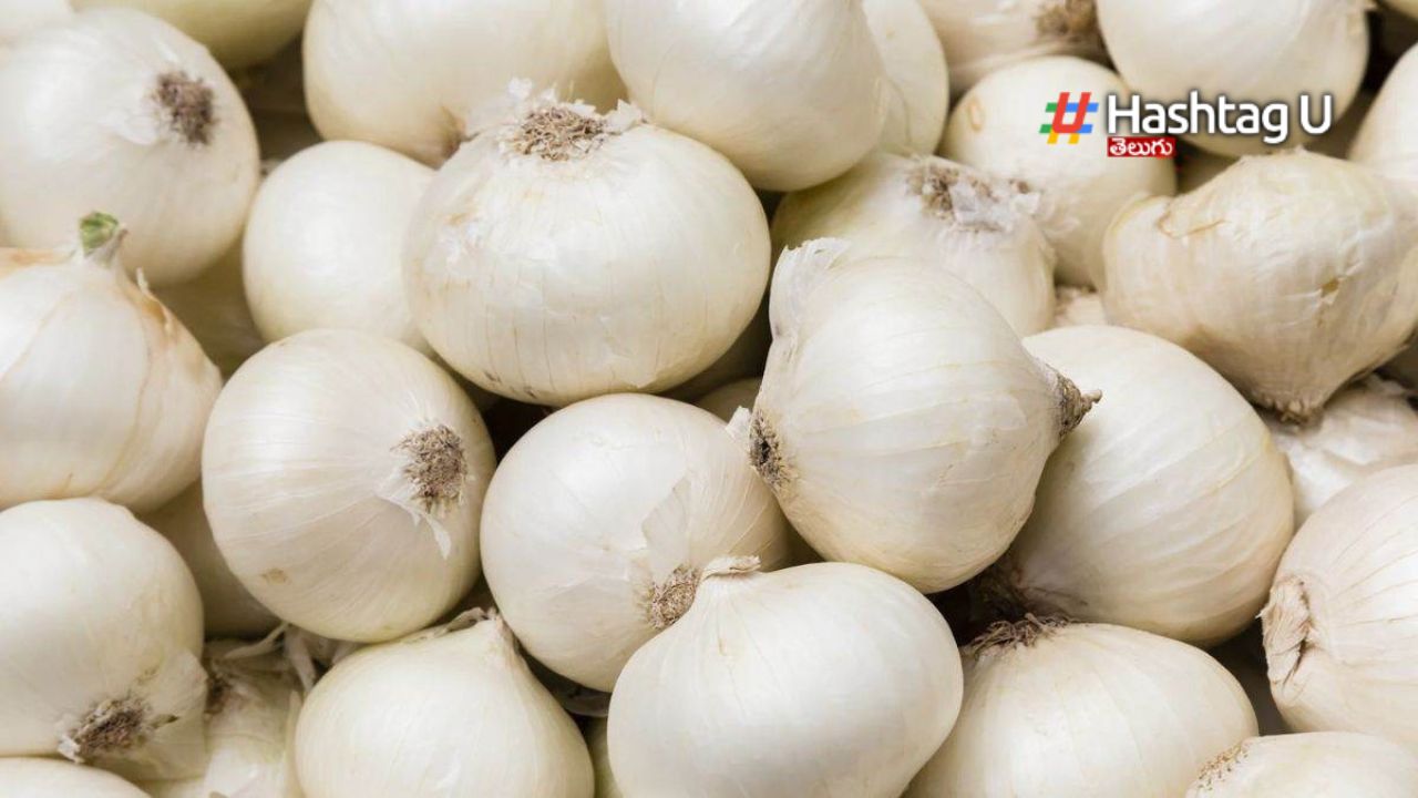 White Onion: తెల్ల ఉల్లిపాయ వల్ల కలిగే అద్భుతమైన ప్రయోజనాలు ఇవే?