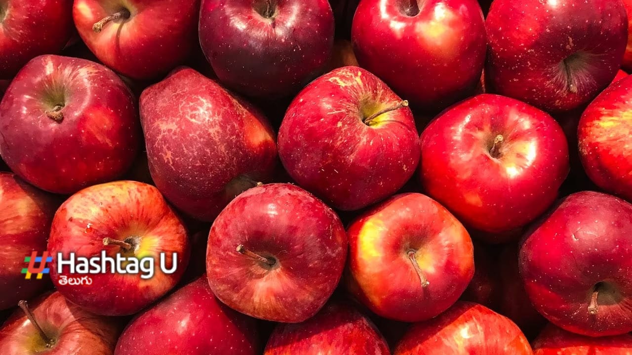 Apple vs Guava: ఏ పండు ఎక్కువ ఆరోగ్యకరం.. జామకాయ? యాపిలా?