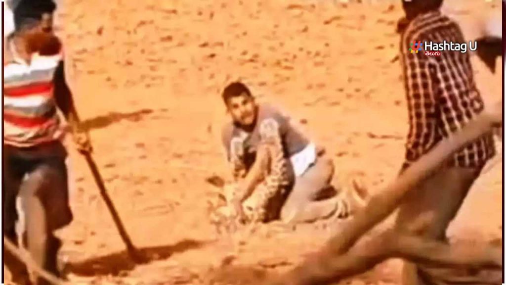 Journalist Fight To Leopard