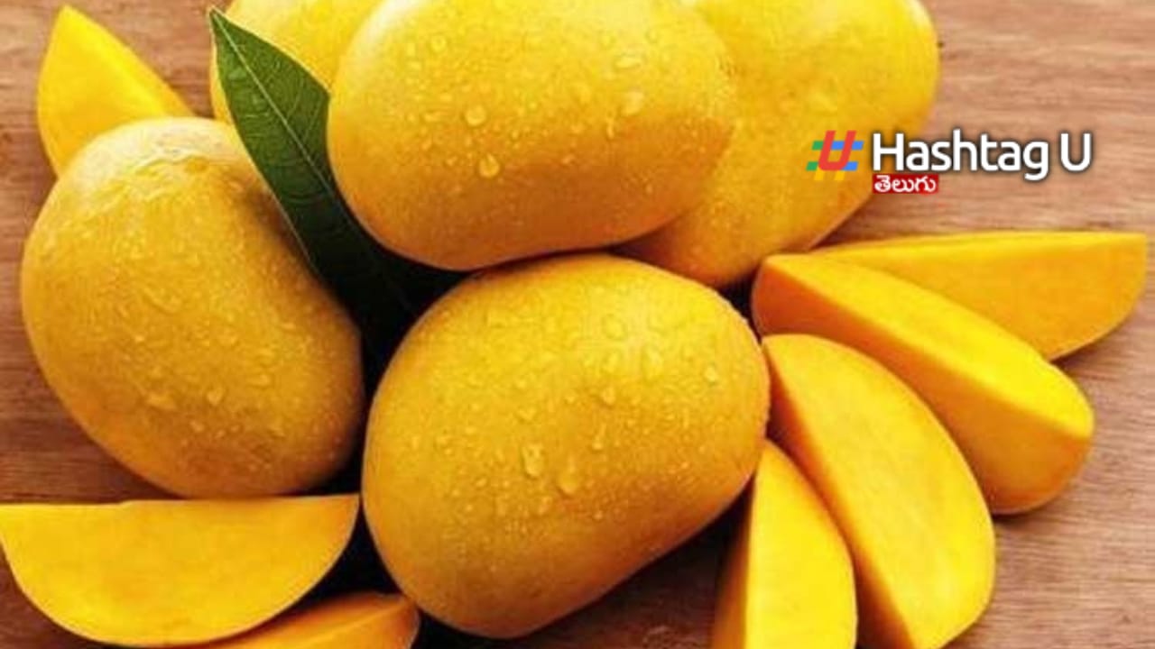 Benefits of Mango Seed: మామిడికాయే కాదు.. గింజ‌లు కూడా ప్ర‌యోజ‌న‌మే..!