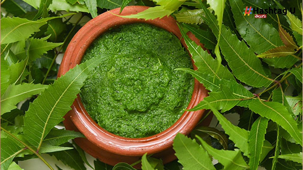 Neem Leaves : వేప ఆకులను తినడం వల్ల కలిగే 5 ప్రయోజనాలు..!