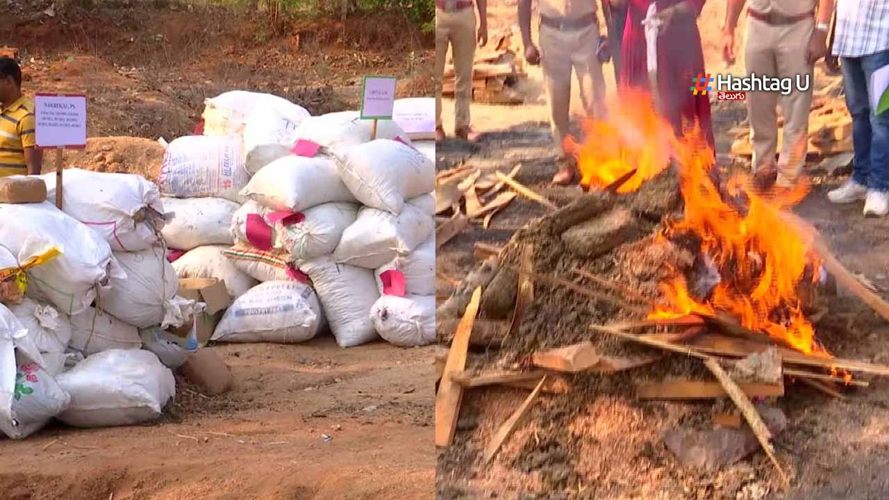 Drugs : నల్గొండ లో రూ.5 కోట్ల 10 లక్షల విలువ చేసే గంజాయిని తగలబెట్టిన పోలీసులు