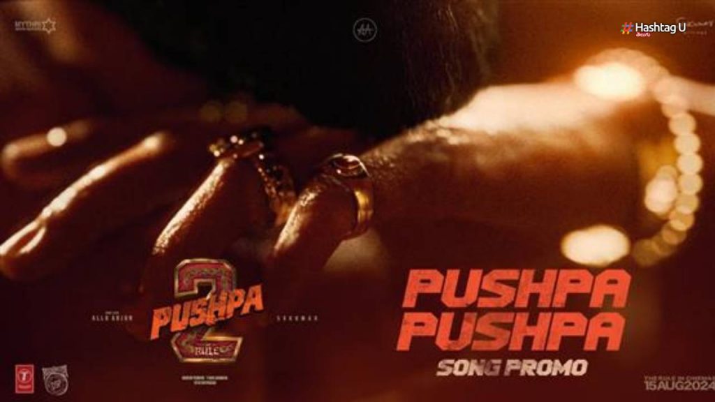 Pushpa 2 First Song Promo Released