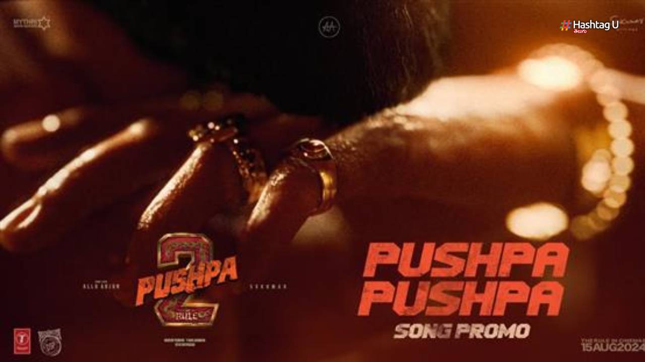 Pushpa 2 : పుష్ప పుష్ప సాంగ్ ప్రోమో.. రూల్ చేసేందుకు రెడీ..!