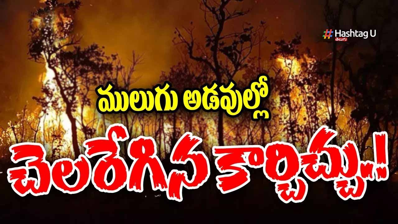 Mulugu : ములుగు అడవి కాలిపోతున్న పట్టించుకోని అటవీ అధికారులు