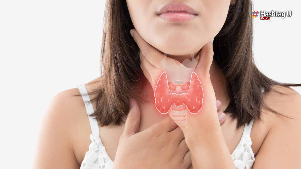 Thyroid Patients : థైరాయిడ్‌ పేషెంట్స్‌ సమ్మర్ లో తీసుకోవాల్సిన జాగ్రత్తలు..