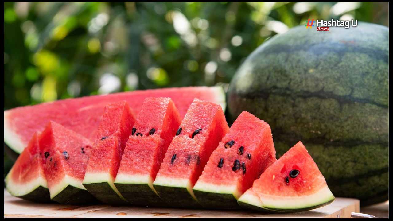 Watermelon Seeds Benefits :  పుచ్చకాయ గింజల వల్ల ఉపయోగాలు తెలిస్తే అస్సలు పడెయ్యారు..!!