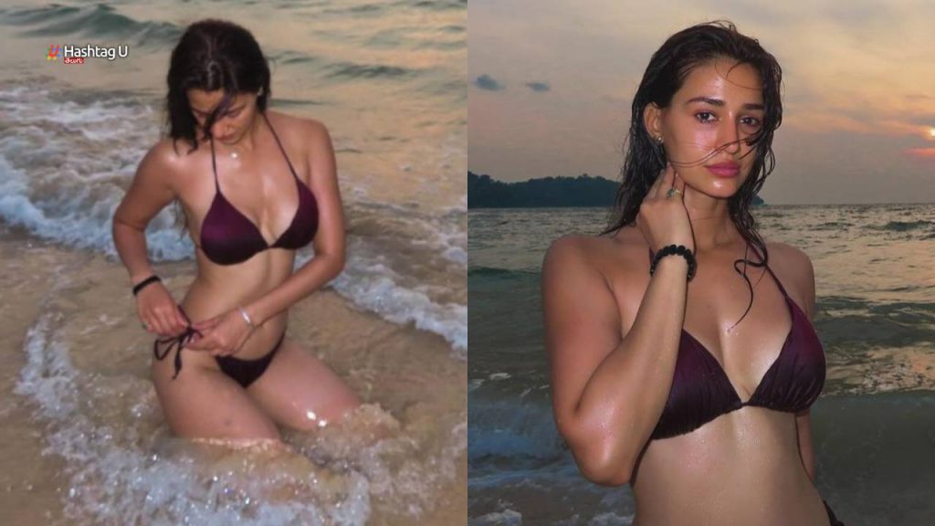 Disha Patani Bikini Treat Social Media Viral