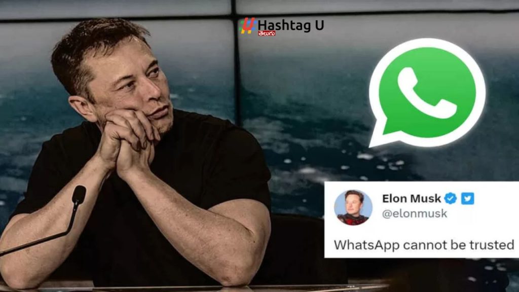 Elon Musk Whatsapp