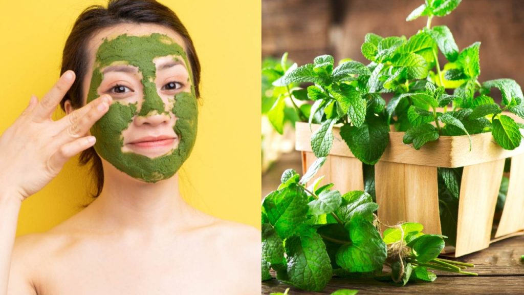 Mint Leaves FacePacks