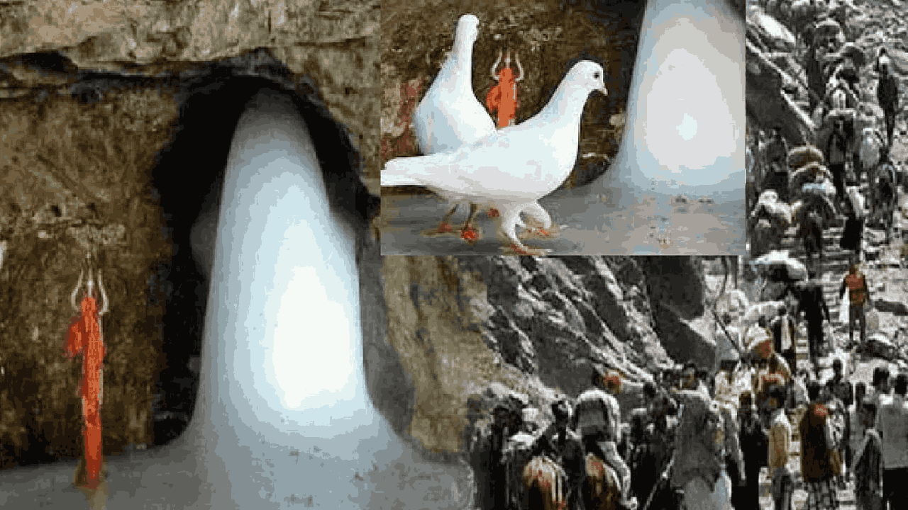 Amarnath Pigeon’s Story: అమర్నాథ్ గుహలో ఉన్న జంట పావురాల రహస్యం ఏంటో తెలుసా..?