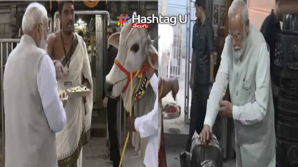 Special Pujas of PM Modi at Vemulawada Sri Rajarajeshwara Swamy Temple