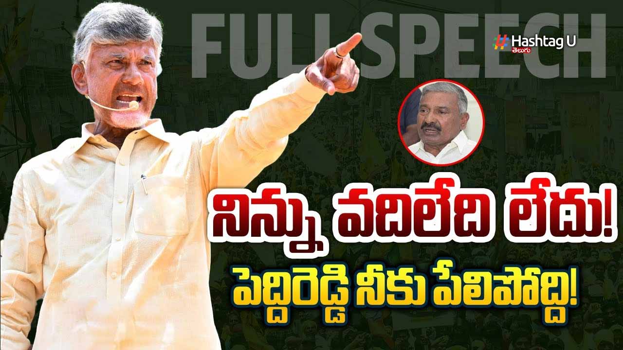 Punganur : పాపాల పెద్దిరెడ్డి..అంటూ పుంగనూరు సభలో చంద్రబాబు ఫైర్..