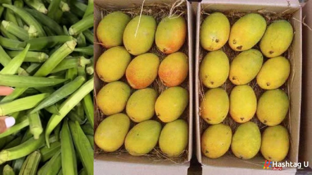 6 Mangoes Rs 2400