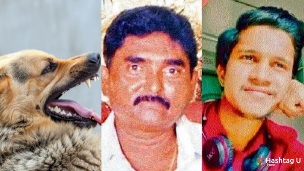 Father And Son Died