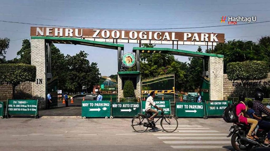 Is Nehru Zoo Park Being Rel