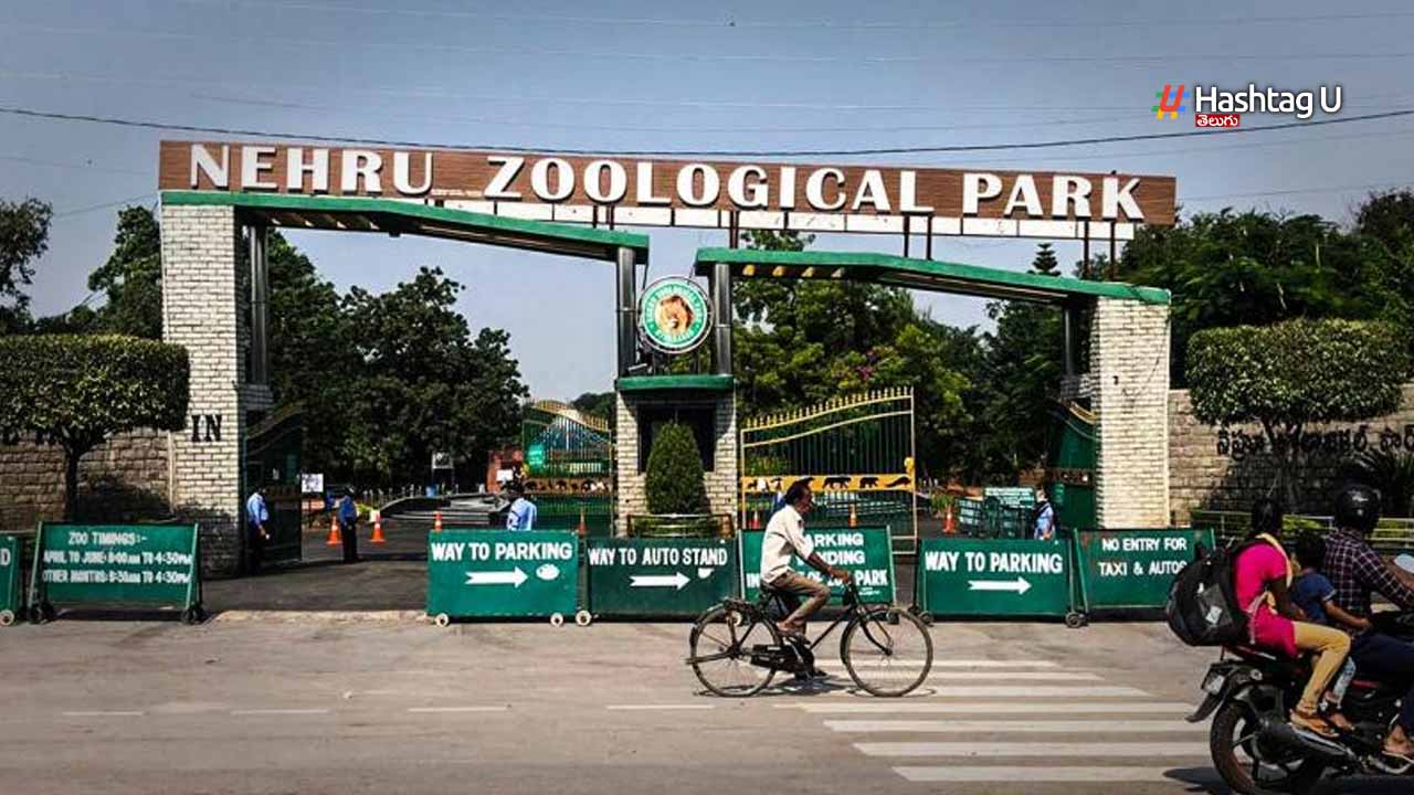 Nehru Zoological Park : హైదరాబాద్ లోని నెహ్రూ జూలాజికల్ పార్కు ను తరలిస్తున్నారా..?