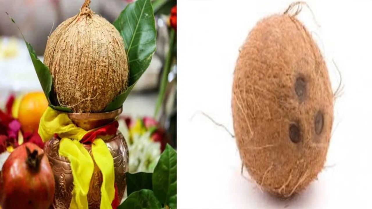 Coconut: కొబ్బరికాయకు మూడు కన్నులు ఎందుకు ఉంటాయో మీకు తెలుసా?