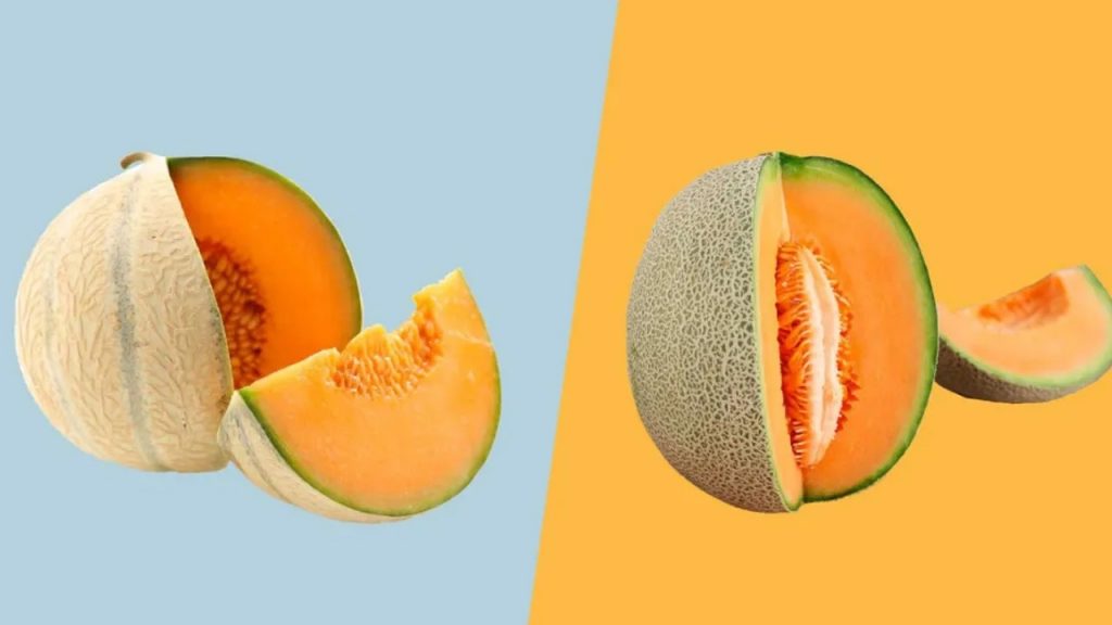Muskmelon