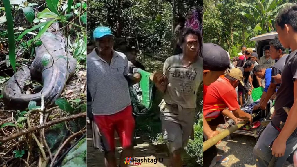 Python Swallowed Woman
