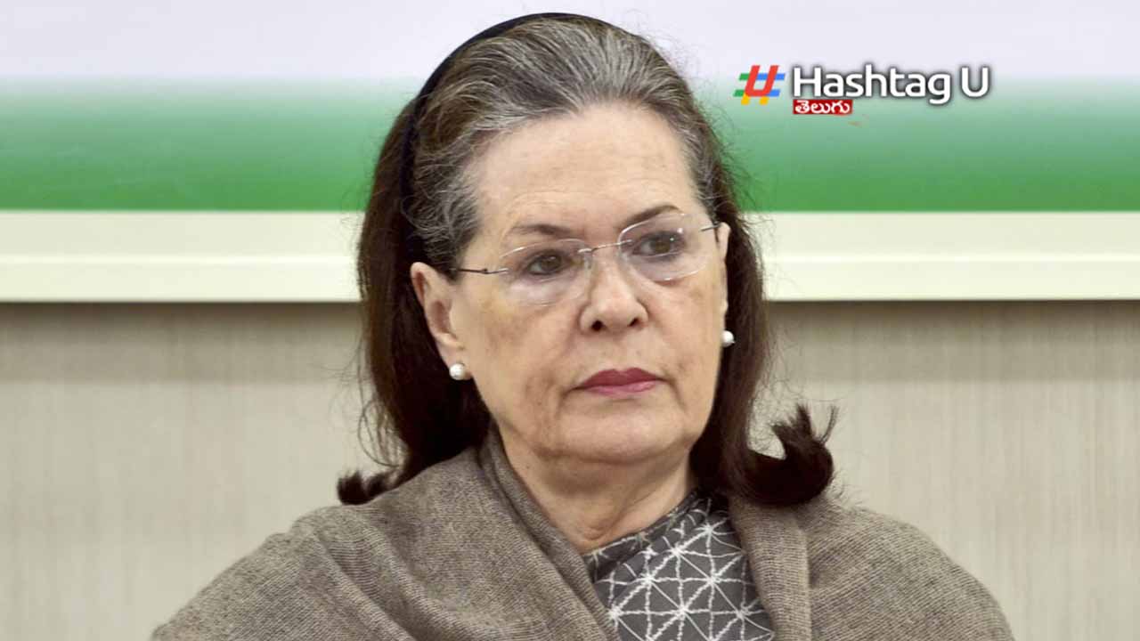 Sonia Gandhi : కాంగ్రెస్ పార్లమెంటరీ పార్టీ చైర్‌పర్సన్‌గా ఎన్నిక