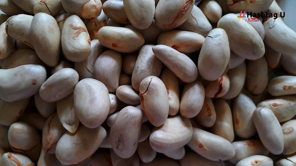 Jak Fruit Seeds
