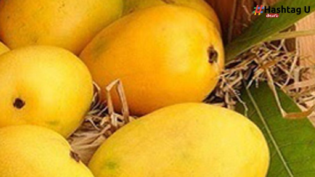 Mango (1)