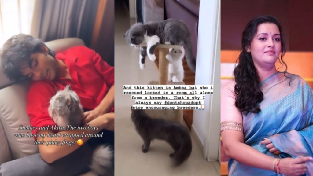 Renu Desai Shares her Pet Cats Video and Akira Nandan Playing with cat Video goes Viral