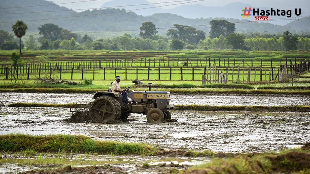 Agriculture, Farming