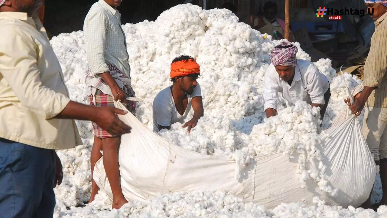 Cotton Subsidy : పత్తి రైతులకు సబ్సిడీపై అధ్యయనం చేసేందుకు తెలంగాణకు మహారాష్ట్ర బృందం