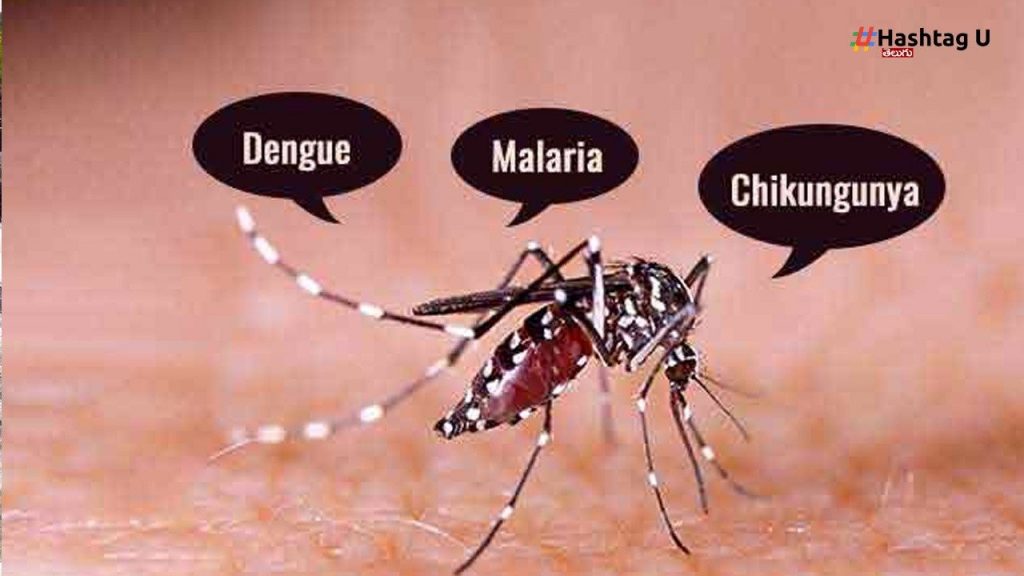 Dengue (2)