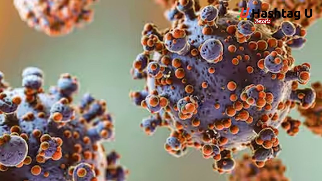 Oropouche Virus