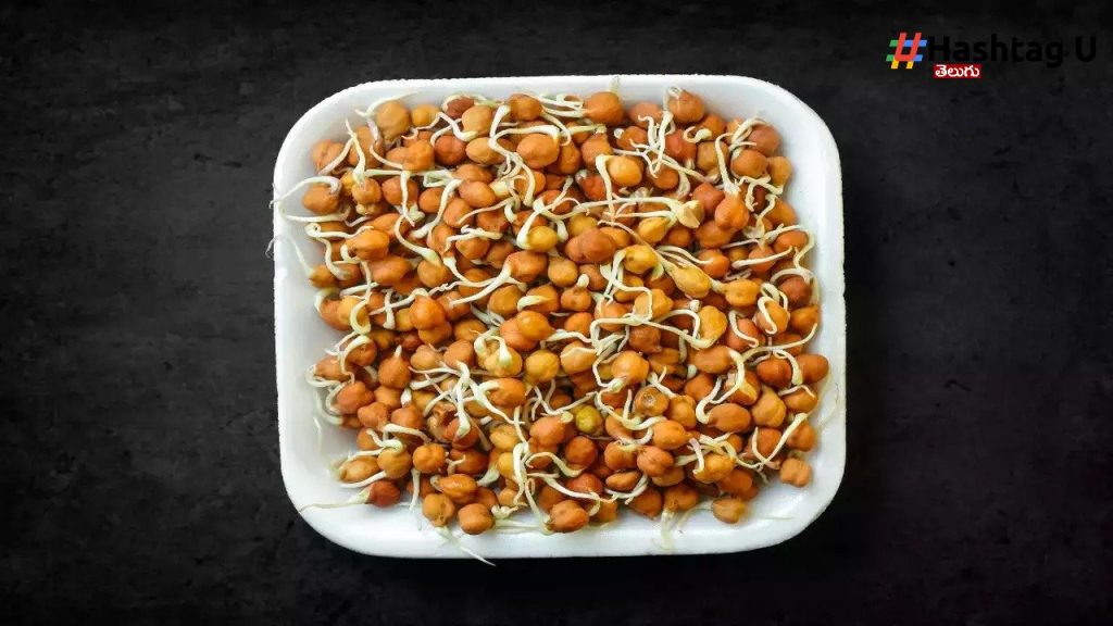 Sprouts
