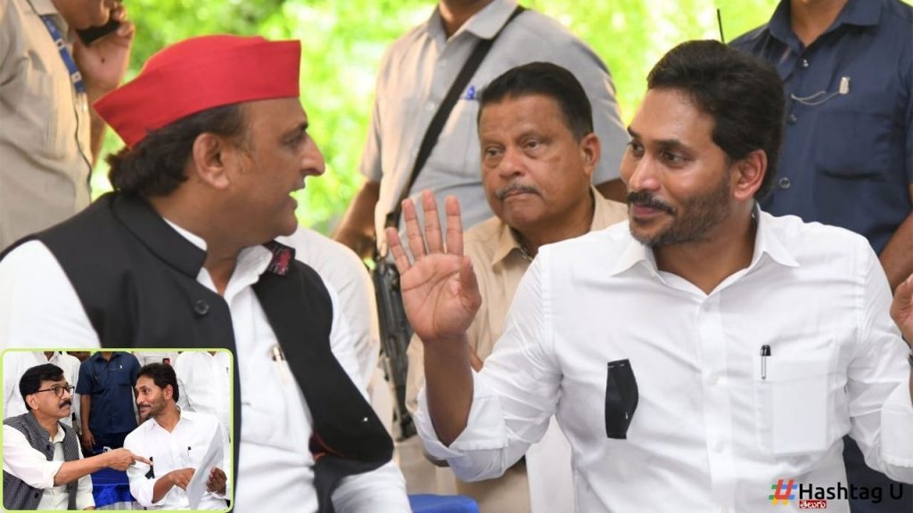 Ys Jagan Vs Bjp Delhi Dharna