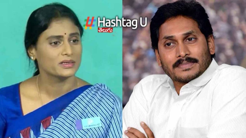 Ys Sharmila Key Comments On