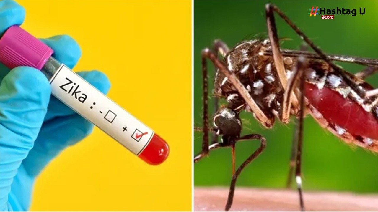 Zika Virus : మహారాష్ట్రలో జికా వైరస్‌ విజృంభిస్తున్న.. అన్ని రాష్ట్రాలకు కేంద్రం అలర్ట్‌