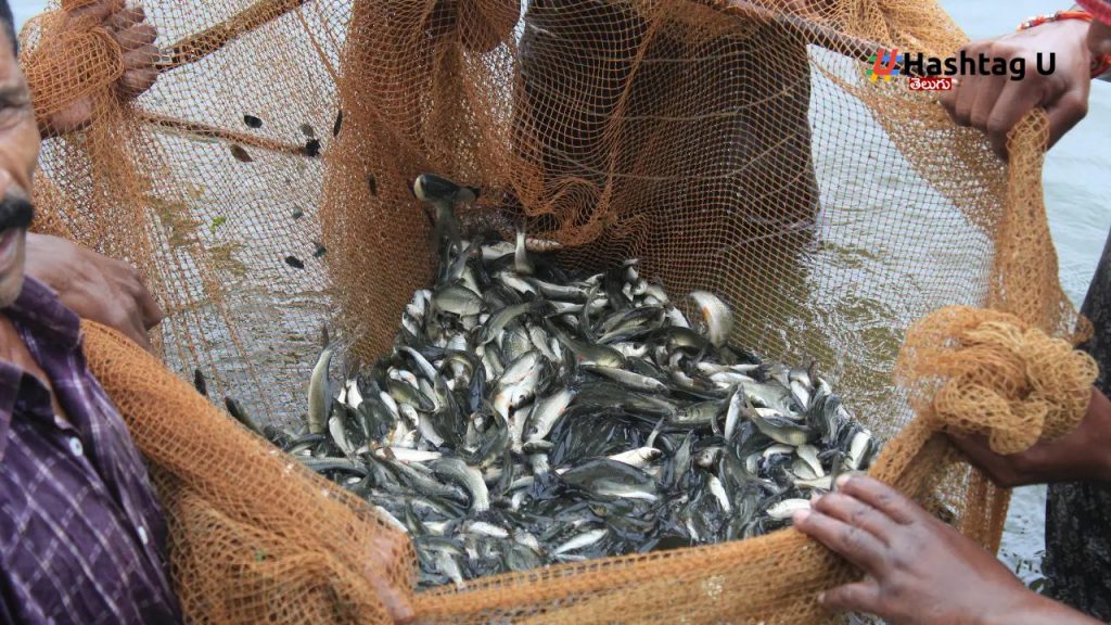 Fish Farmers Day