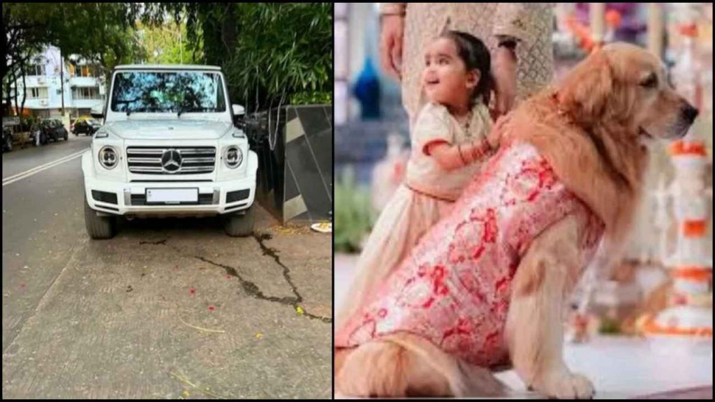 Ambanis Dog