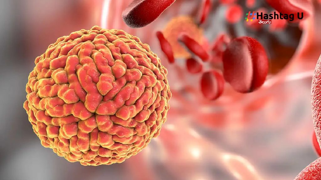 Zika Virus (1)