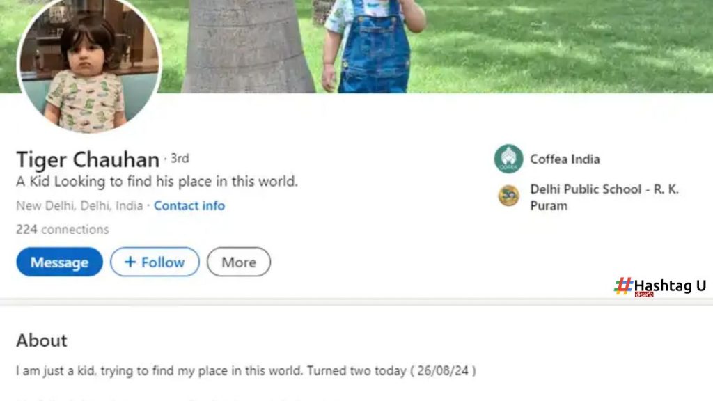2 Year Old Kids Linkedin Profile