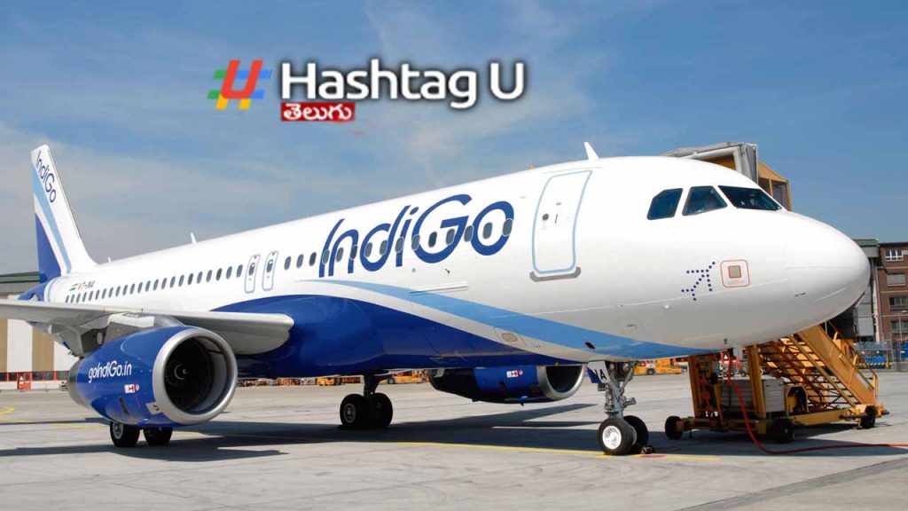 IndiGo