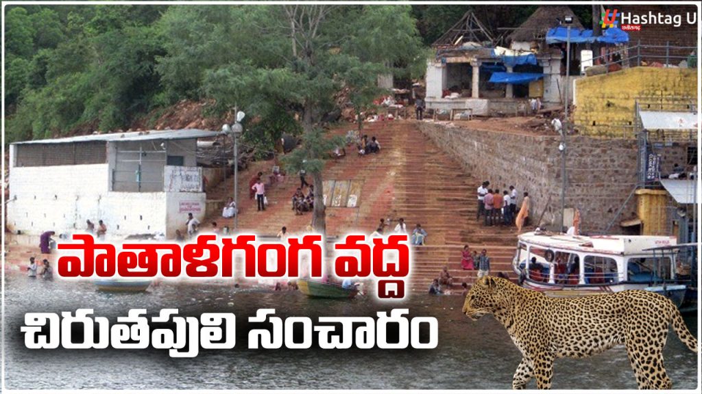 Chirutha At Srisailam