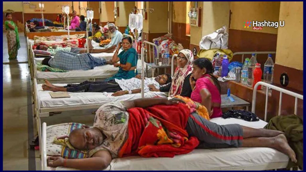 Dengue Telangana Hospitals