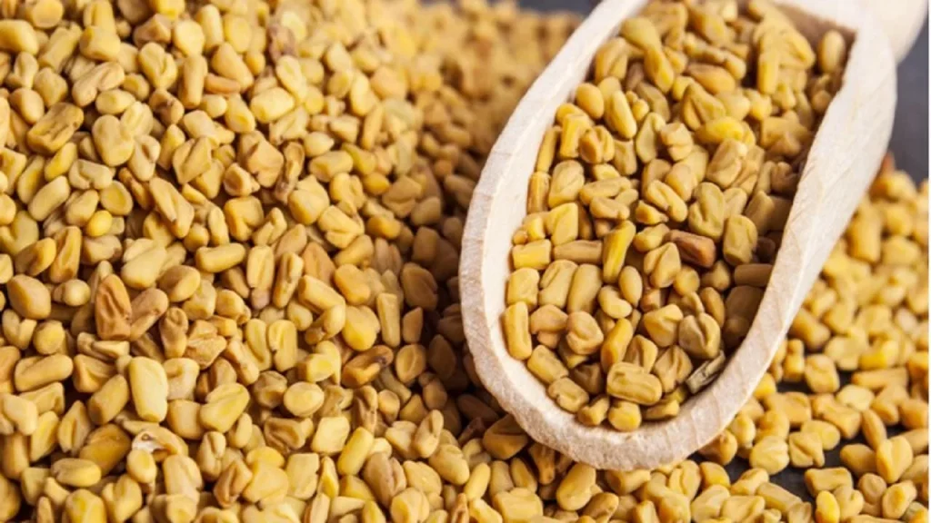 Fenugreek