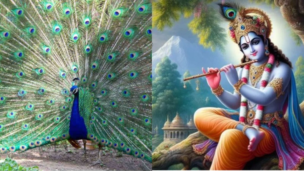 Krishnashtami 2024