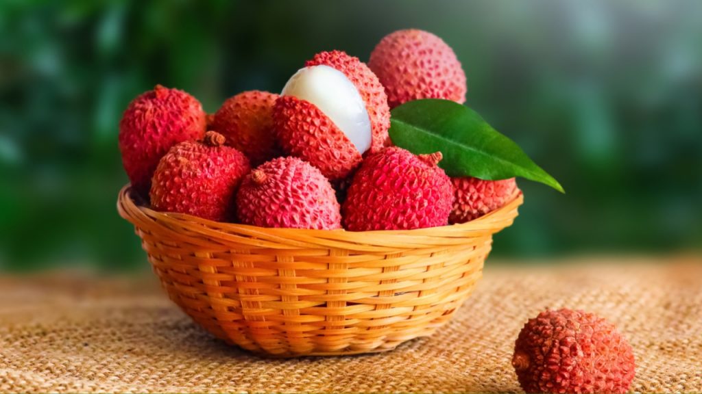 Lychee Fruit