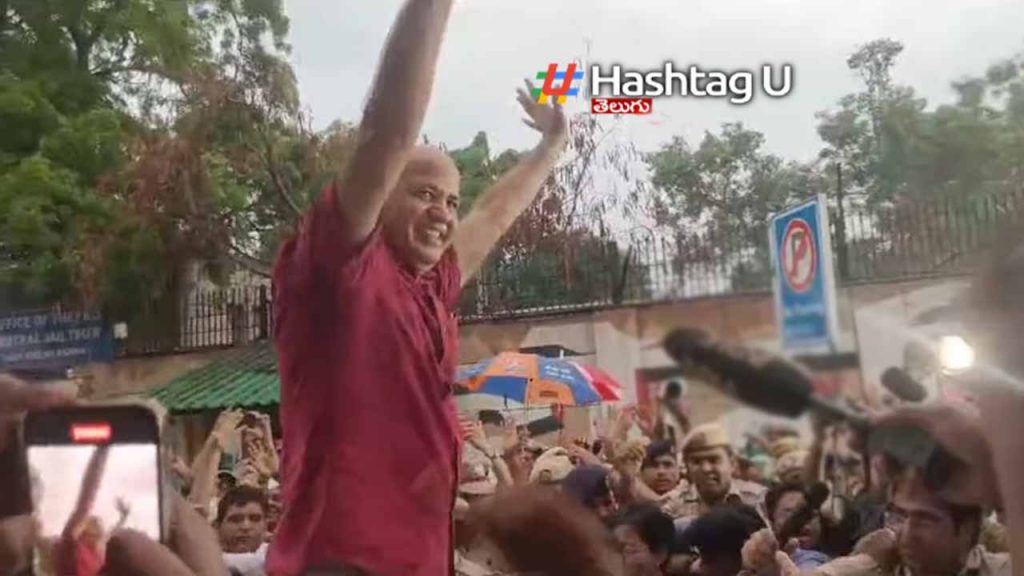 Manish Sisodia Released Fro
