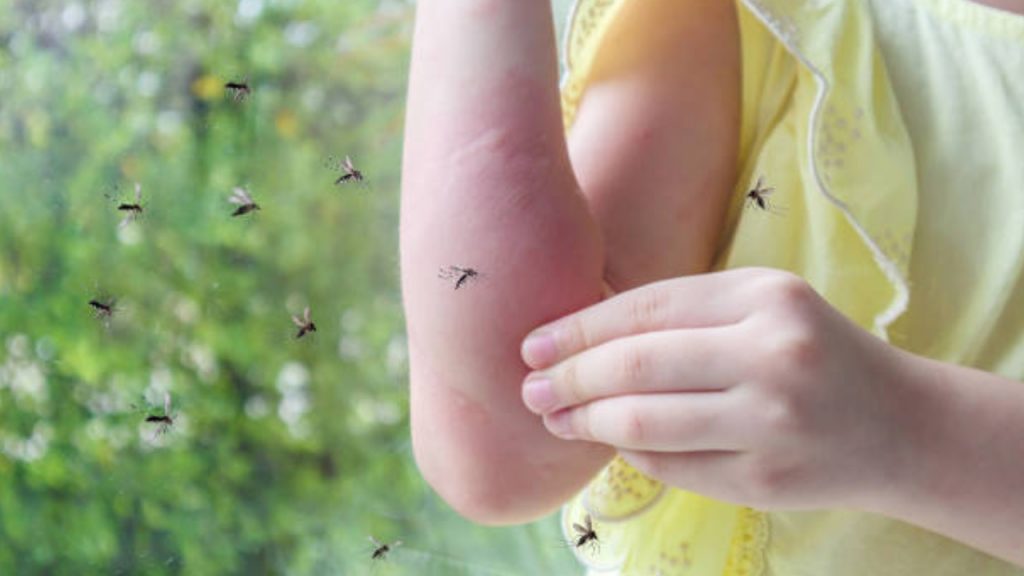 reasons for mosquito bite
